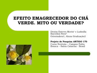 EFEITO EMAGRECEDOR DO CHÁ VERDE. MITO OU VERDADE?