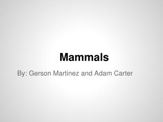 Mammals