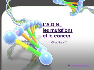 L’A.D.N., les mutations et le cancer
