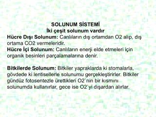 SOLUNUM SİSTEMİ İki çeşit solunum vardır