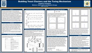 Budding Yeast Clusters and the Turing Mechanism Angelica Schwartz