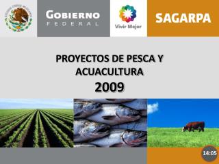PROYECTOS DE PESCA Y ACUACULTURA 2009