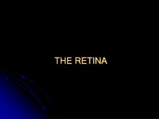 THE RETINA