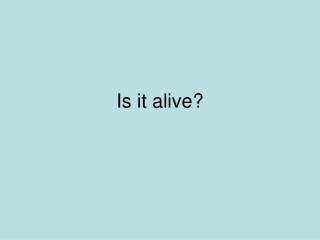 Is it alive?