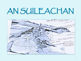 AN SUILEACHAN