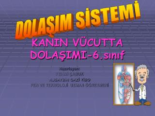 KANIN VÜCUTTA DOLAŞIMI-6.sınıf