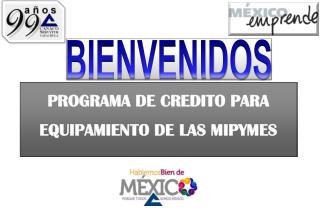 PROGRAMA DE CREDITO PARA EQUIPAMIENTO DE LAS MIPYMES