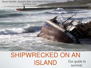 SHIPWRECKED ON AN ISLAND