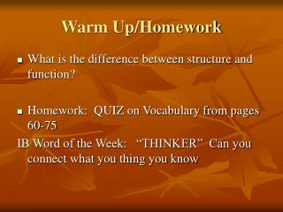 Warm Up/Homework