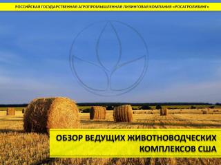 РОССИЙСКАЯ ГОСУДАРСТВЕННАЯ АГРОПРОМЫШЛЕННАЯ ЛИЗИНГОВАЯ КОМПАНИЯ «РОСАГРОЛИЗИНГ»