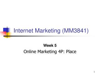 Internet Marketing (MM3841)