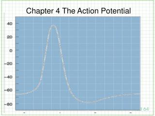 Chapter 4 The Action Potential