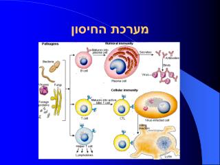 מערכת החיסון