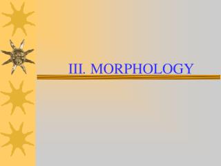 III . MORPHOLOGY