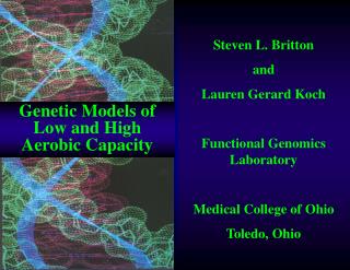 Steven L. Britton and Lauren Gerard Koch Functional Genomics Laboratory Medical College of Ohio