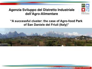 “A successful cluster: the case of Agro-food Park of San Daniele del Friuli (Italy)”