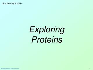 Exploring Proteins