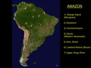 Maraj ó Island (Marajoara) 2) Santarem 3) Central Amazon 4) Gavan (Western Venezuela)