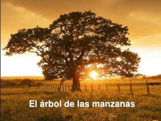 El árbol de las manzanas