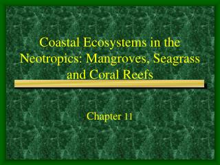 Coastal Ecosystems in the Neotropics: Mangroves, Seagrass and Coral Reefs