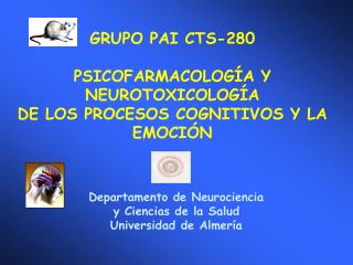 GRUPO PAI CTS-280 PSICOFARMACOLOGÍA Y NEUROTOXICOLOGÍA DE LOS PROCESOS COGNITIVOS Y LA EMOCIÓN