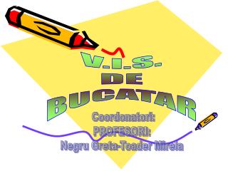 V.I.S. DE BUCATAR