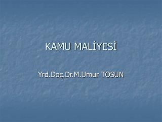 KAMU MALİYESİ