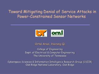Toward Mitigating Denial of Service Attacks in Power-Constrained Sensor Networks