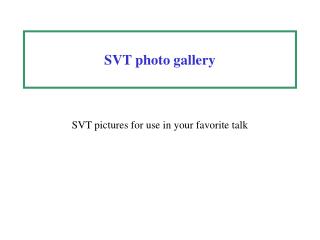 SVT photo gallery