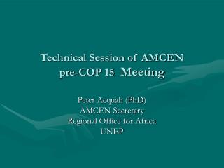 Technical Session of AMCEN pre-COP 15 Meeting