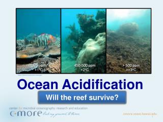 Ocean Acidification