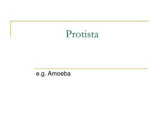 Protista