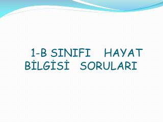 1-B SINIFI HAYAT BİLGİSİ SORULARI