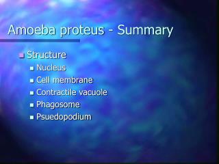 Amoeba proteus - Summary