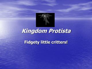 Kingdom Protista