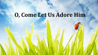 O, Come Let Us Adore Him