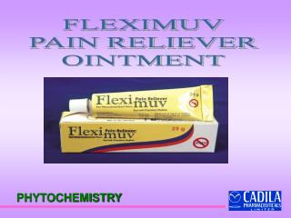 FLEXIMUV PAIN RELIEVER OINTMENT