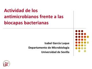 Actividad de los antimicrobianos frente a las biocapas bacterianas