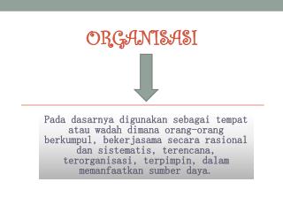 Organisasi