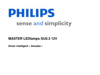 MASTER LEDlamps GU5.3 12V Driver intelligent « Amoeba »