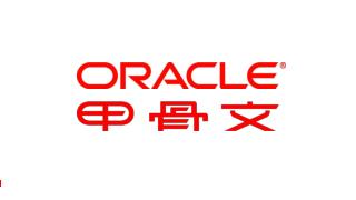 Oracle 融合中间件战略推动业务创新
