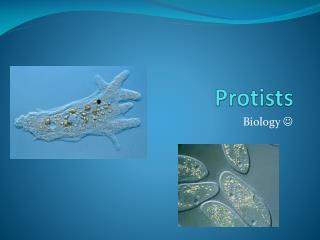 Protists