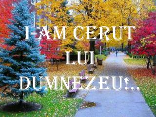 I-AM CERUT LUI DUMNEZEU!..