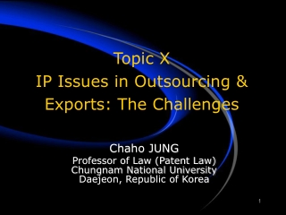 Topic X IP Issues in Outsourcing & Exports: The Challenges
