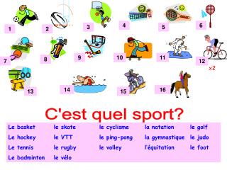 Le basket	le skate		le cyclisme	la natation	le golf