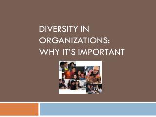 Diversity in Organizations: why it’s important