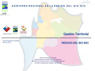 Gestión Territorial REGION DEL BIO BIO