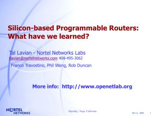 Silicon-based Programmable Routers: What have we learned?
