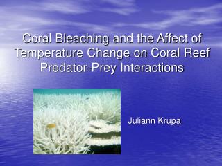 Coral Bleaching and the Affect of Temperature Change on Coral Reef Predator-Prey Interactions