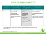 HUOLEN VY HYKKEIST Tom Arnkil Esa Eriksson, THL